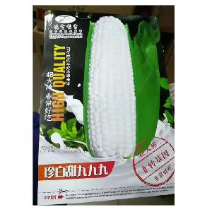 Touchhealthy supply super white f1  hybrid   corn   seed s for planting 500gram/bags