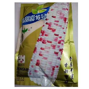High yield Sweet corn seeds for planting with good package 500gram/bags 500gram/bags