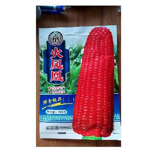 red Hybrid f1 sweet corn seeds for planting with good package from seeds reserach 500gram/bags