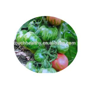 supply Stock quality chinese vegetable seed/wholesale tomato seeds THS379