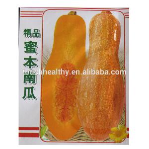 Stock quality chinese vegetable seed/wholesale pumpkin seeds THS319 WITH 10 gram seeds/Bag