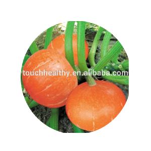 Stock quality chinese vegetable seed/wholesale pumpkin seeds THS311 WITH 10 gram seeds/Bag
