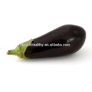Touchhealthy supply Long hybrid f1 eggplant seed for cultivation, good quality hybrid vegetable seed