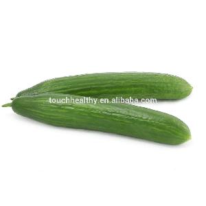Touchhealthy Supply F1  hybrid  cucumber  seeds ,  hybrid   vegetable   seeds  for planting 20gram/bags