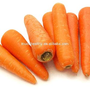 Touchhealthy supply  Wholesale  Latest  wholesale   vegetable   seeds 