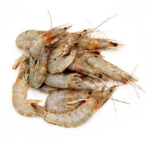 deep sea frozen headless black tiger shrimp