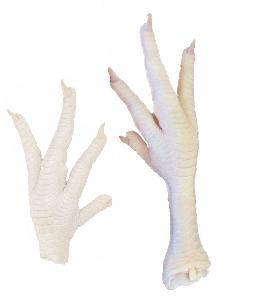 Cheap High Quality Processed Frozen Fresh chicken feet from USA