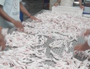 Frozen Processed Export Quality Chicken Feet - Chicken Feet For Haiphong Hong kong China