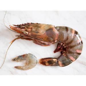 Fresh Frozen 100% Organic Black Tiger Prawn or Shrimp