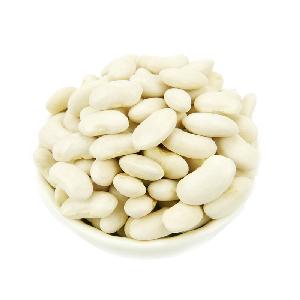 Free  sample s Factory wholesale egyptian white kidney beans with competitive price