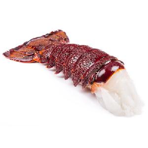 Lobster