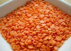 Lentils 