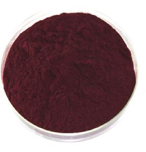 Factory Supply High Quality 25%  Anthocyanidin s CAS 84082-34-8 Bilberry Extract  Powder 