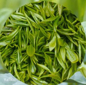 All natural tea extract tea polyphenols antioxidant food