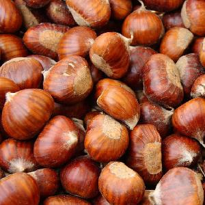 best Chinese New Crop fresh organic chestnut