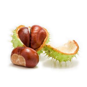 Hot Selling Chinese Supplier Fresh Raw Healthy Organic Chestnut