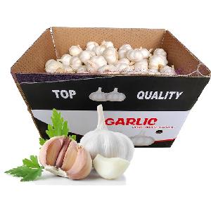 Chinese 3ps purple white cold store garlic is popular