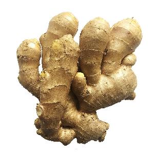 250g  Dry   Ginger   Price 