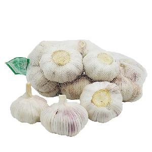 normal white garlic new crop materials