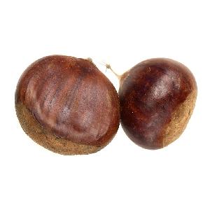 Sweet Dandong Raw Fresh Honey Chestnuts On Sale
