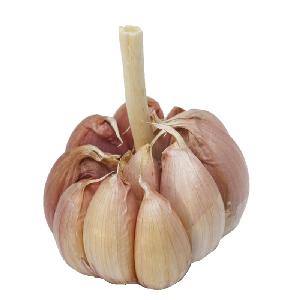 2018 Red Fresh White 3p Chinese Garlic