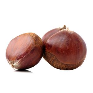 Chinese  raw chestnuts factory for sale