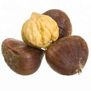 Chinese fresh raw sweet chestnut wholesale price is hot sales