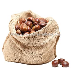Fresh Raw Chestnuts Gunny Bags for Import