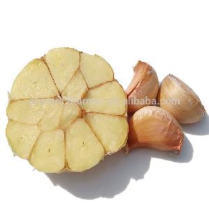 Chinese Fresh Big Garlic Export Price to Haiti