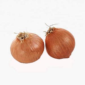 China Supplier Red Shallot Onions With Best Price