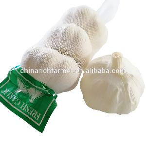High Quality Pure White Fresh Garlic Price Inquiry