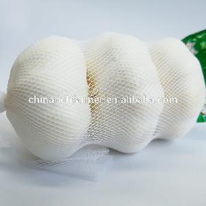 Wholesale High Quality Purple White Garlic