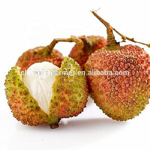 New Crop 2019 Year Fresh Sweet Lychee On the sales