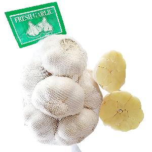Chinese Garlic in 2019 year is hot sales
