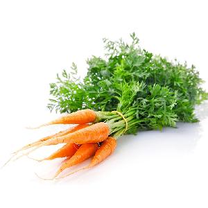 specifications of indian fresh carrots yellow carrot farm nutrients in carrots