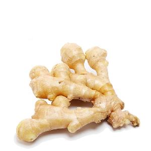 Good quality unspoiled plump chinese fresh ginger