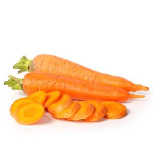 Fresh Carrots Export to Kuwait