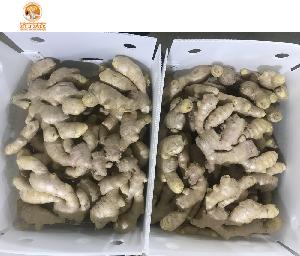 Air Dried Ginger Wholesale Price For Ginger Buyers