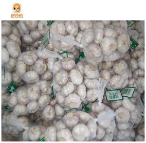 High Quality Fresh Normal White Garlic To Kuwait