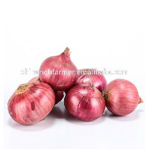 Cheap shallot from porfesstional Chinese supplier