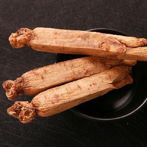 Red Ginseng Root / Panax Ginseng / Ninjin / Insam with tail tonic body wholesale