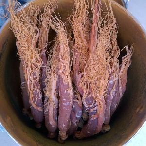 Ginseng Extract Korea red ginseng america ginseng root 80% uv Ginsenosides Panaxoside Panaxoside Rb1 Panaxoside Rb3 powder