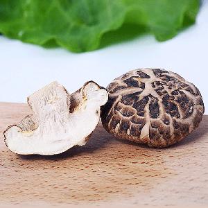 Export Flower Shiitake Mushroom Dried from Fresh Raw Material