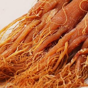 Touchhealthy Supply Whole Root Red Ginseng from HANUL Ginseng Korea
