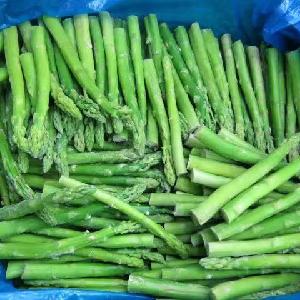 frozen iqf green asparagus spears fresh pack blanched peeled