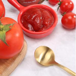Canned special  tomato   paste   28 - 30 % 400g