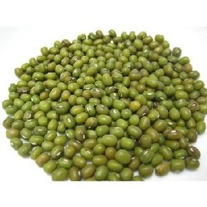 Green mung bean Moong dal sprout mung beans use for  sale 
