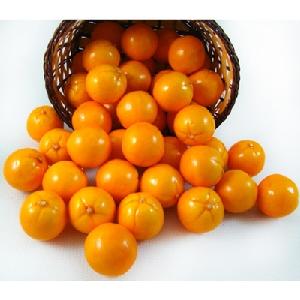 100% Pure Natural Fresh Citrus Naval Oranges, Valencia Orange, Lemons, Mandarins and Lime Supplier Hot export