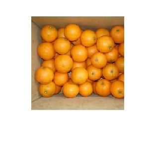 Fresh Citrus Naval oranges, Lemons,Mandarins,valencia orange,Lime for sale 2020 fruits