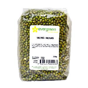 Green Mung Bean supply different size mung beans